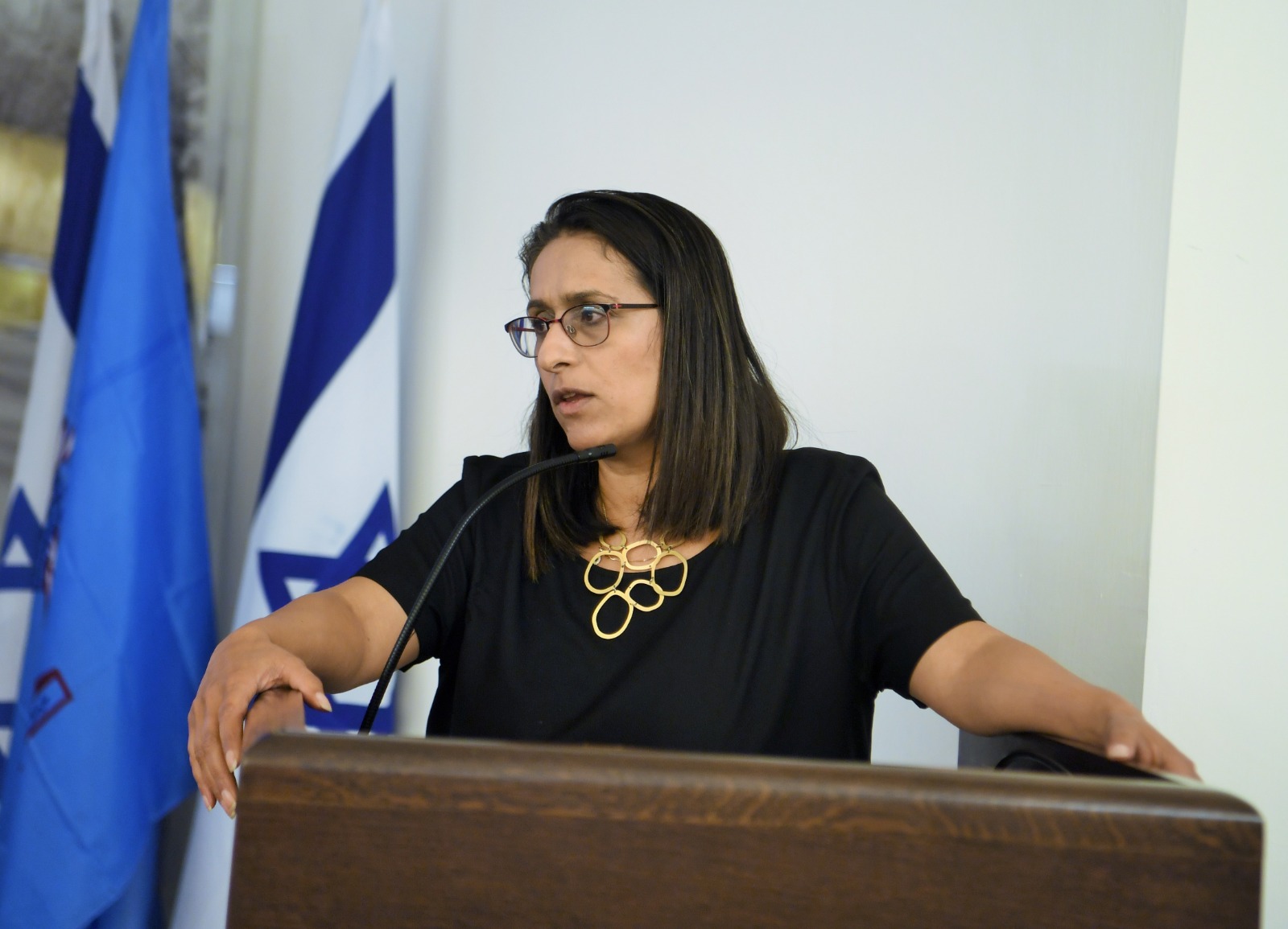 ישיבת מועצה חיפה - עוד שרית גולן שטיינברג