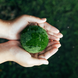 איכות סביבה