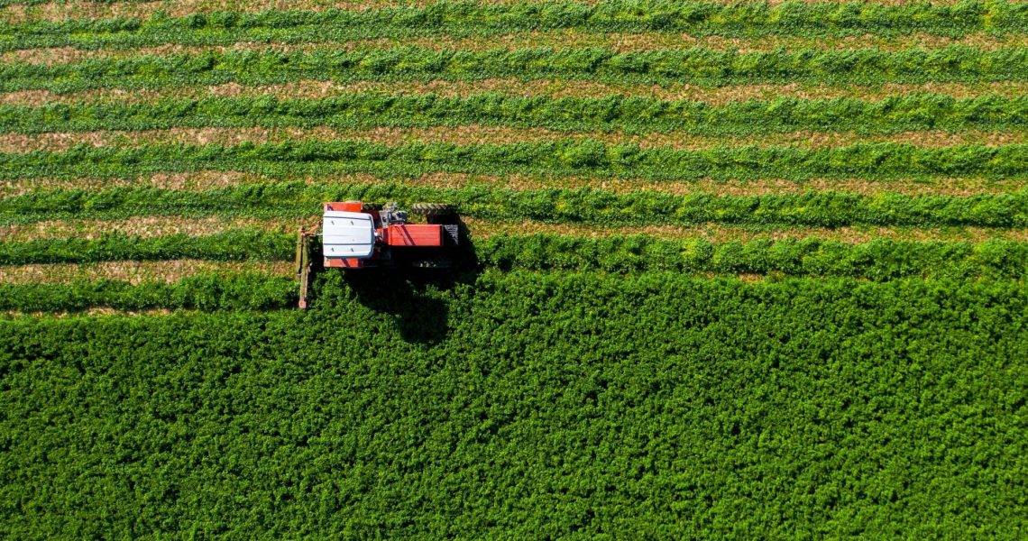 Corn,Harvest,,People,Working,With,Tractors,And,Agricultural,Machinery,,Silage