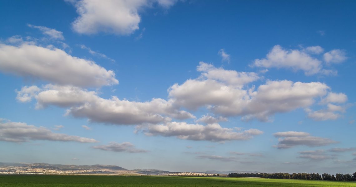 Cotton,Field,In,Late,Afternoon,With,Blue,Sky,,Kibbutz-shomrat,,Galilee