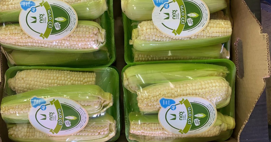 מארז תירס לבן, צמח אבוקדו