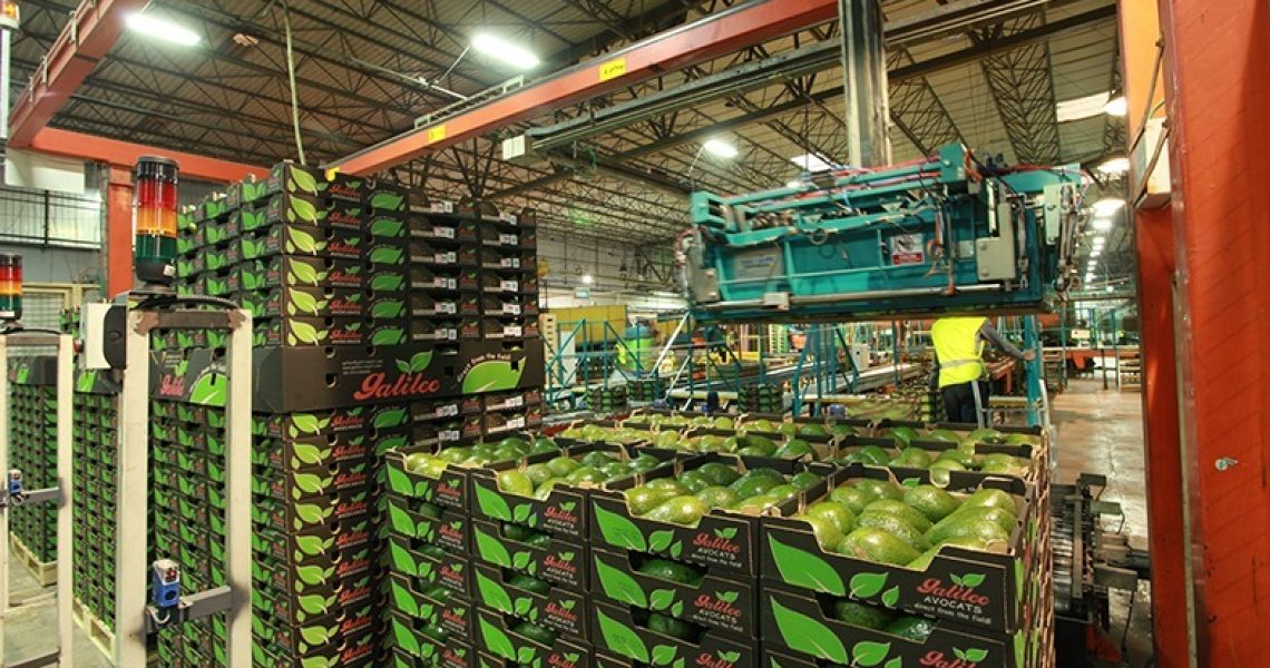 משלוח גליל אקספורט