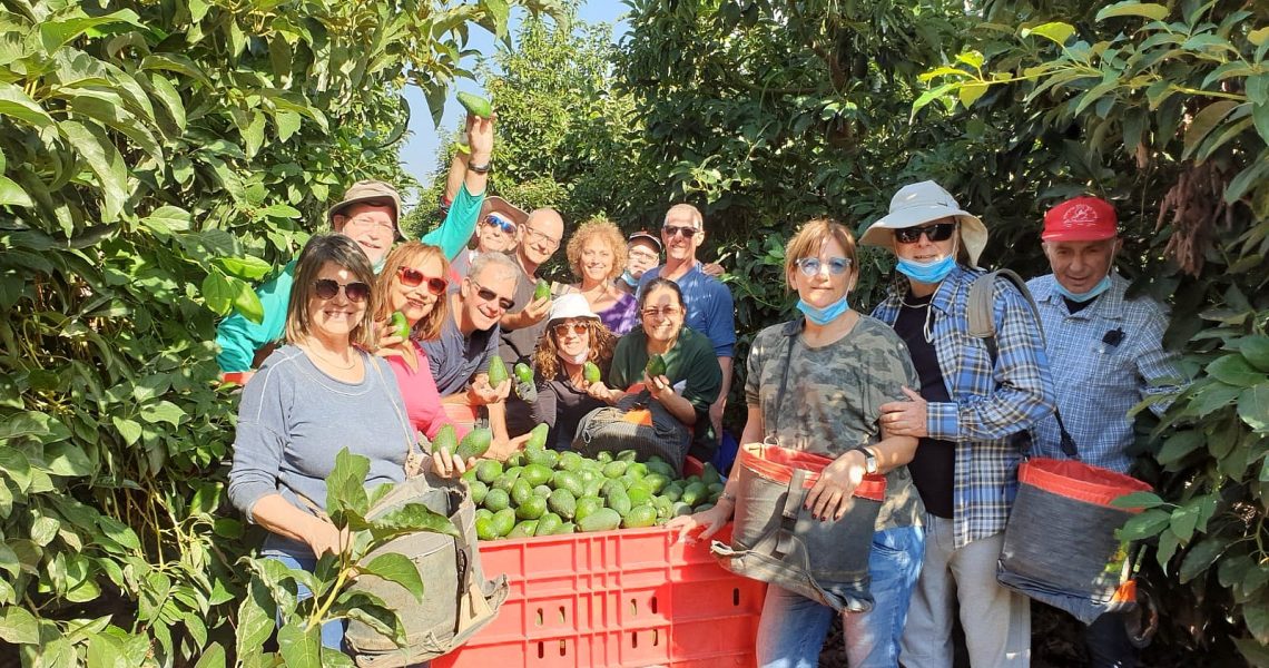 פרויקט גמלאי לחקלאי, צילום יהודה בוקסבאום